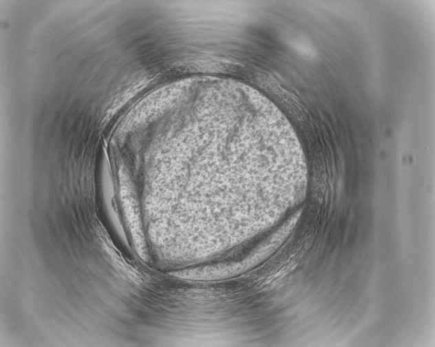 X0000086970394200705141656