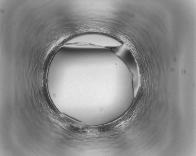 X0000086970395200705141656