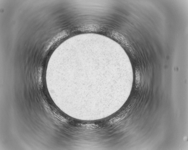 X0000086970396200705141656