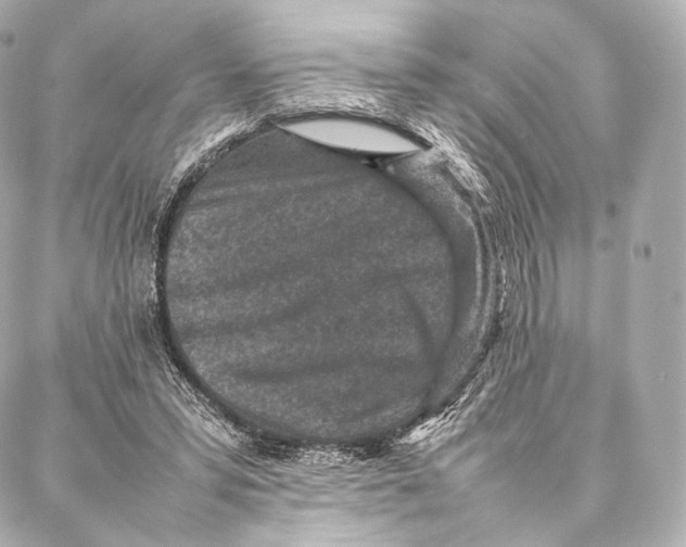 X0000086970399200705141656