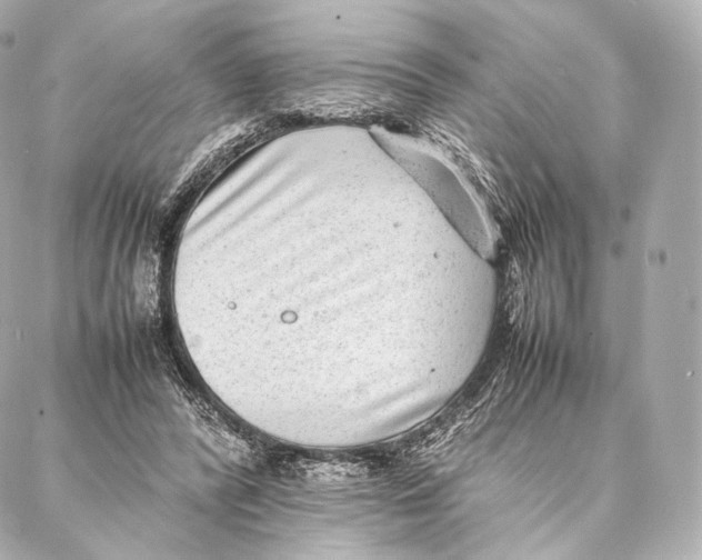 X0000086970400200705141656