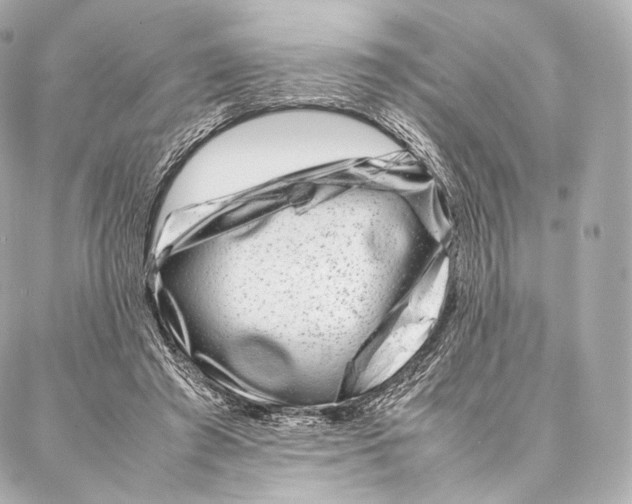 X0000086970401200705141656