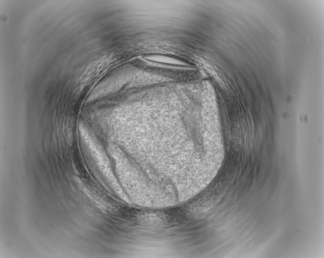 X0000086970402200705141656