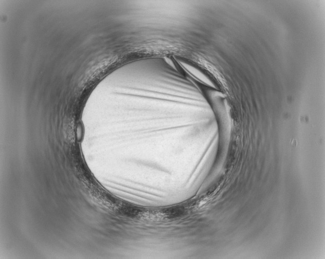 X0000086970403200705141656