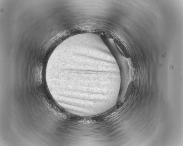 X0000086970404200705141656