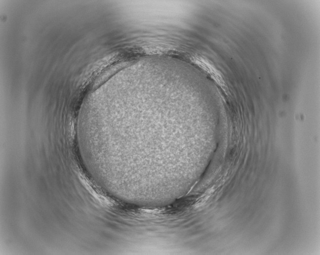 X0000086970405200705141656