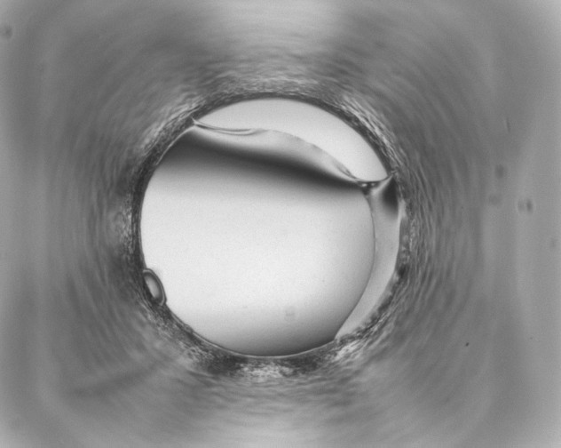 X0000086970407200705141656