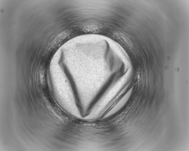 X0000086970408200705141656