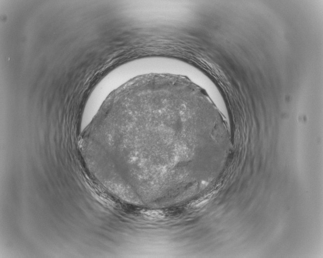 X0000086970409200705141656