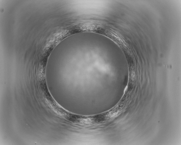 X0000086970411200705141656