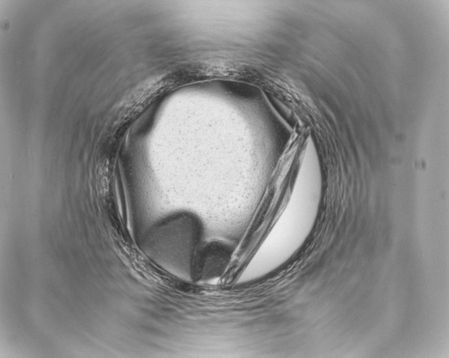 X0000086970413200705141656