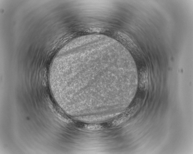 X0000086970414200705141656