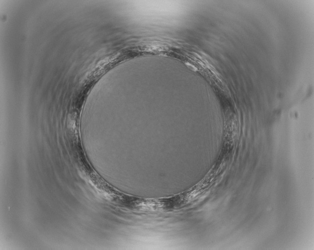 X0000086970415200705141656