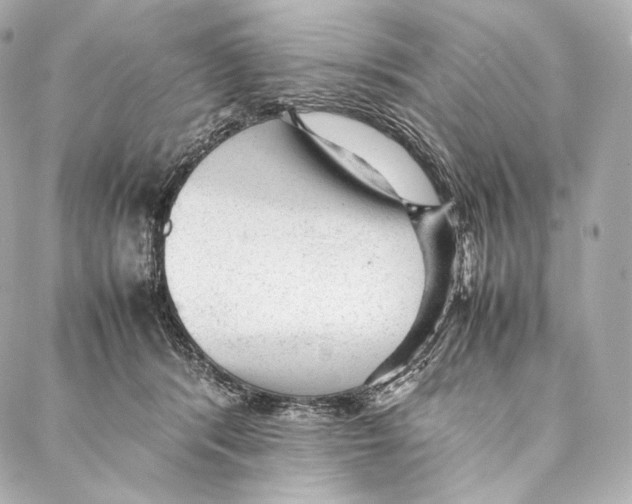 X0000086970416200705141656