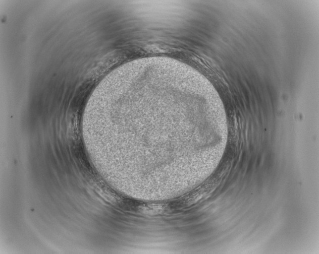 X0000086970418200705141656