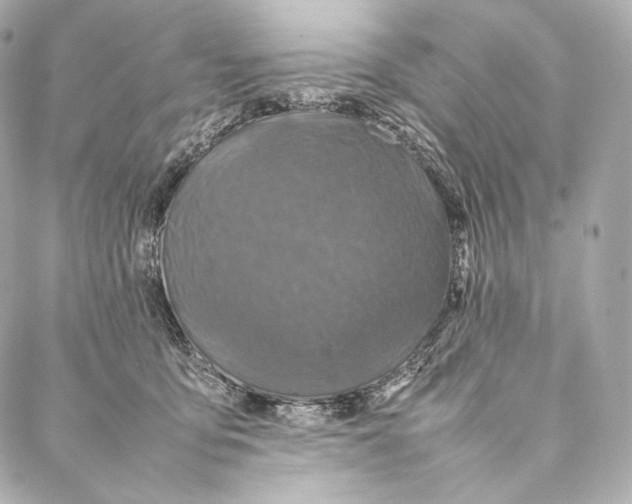 X0000086970419200705141656