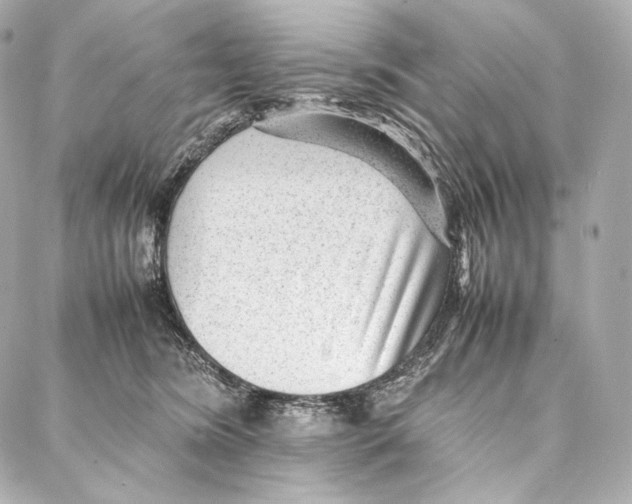 X0000086970420200705141656