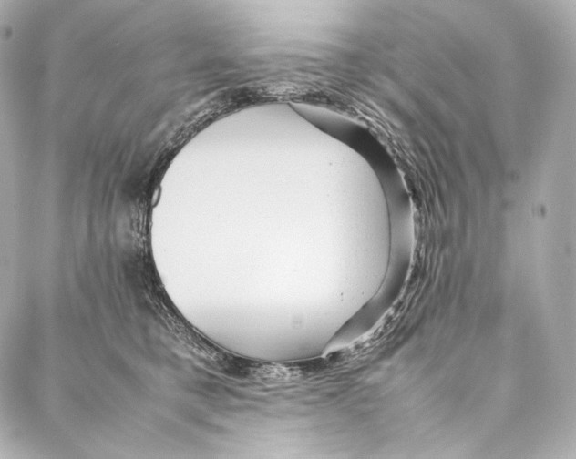 X0000086970421200705141656