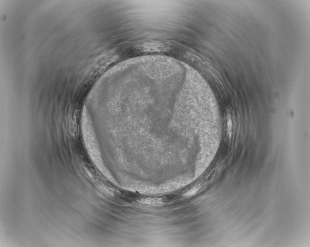 X0000086970422200705141655