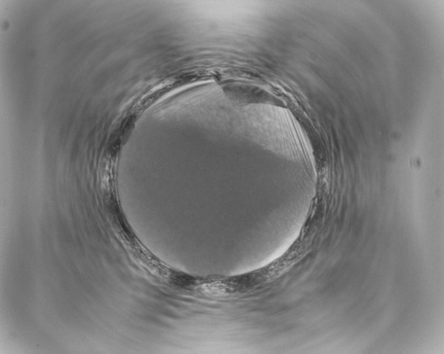 X0000086970423200705141655