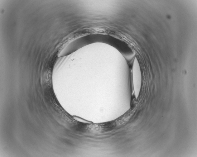 X0000086970425200705141655