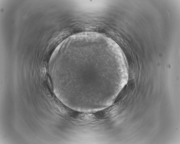 X0000086970427200705141655