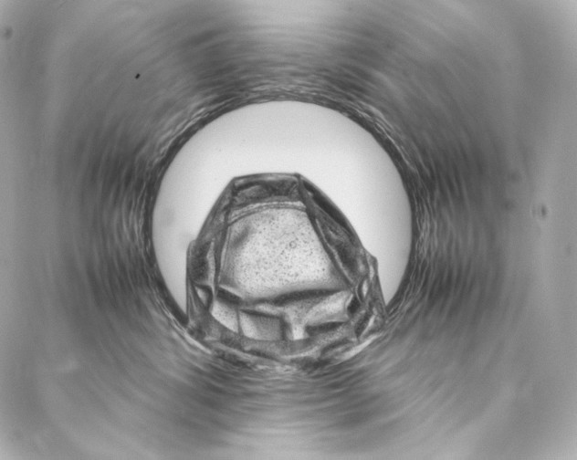 X0000086970428200705141655