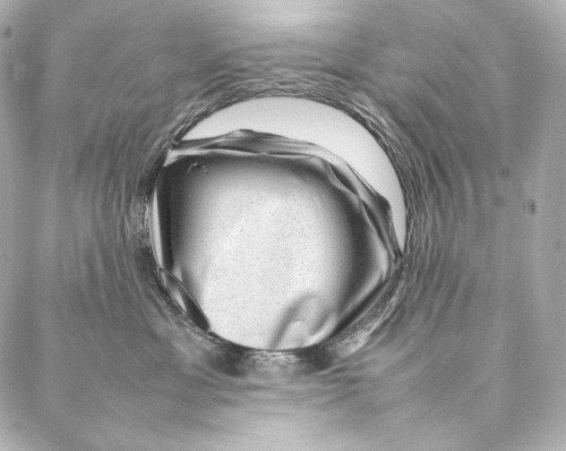 X0000086970429200705141655