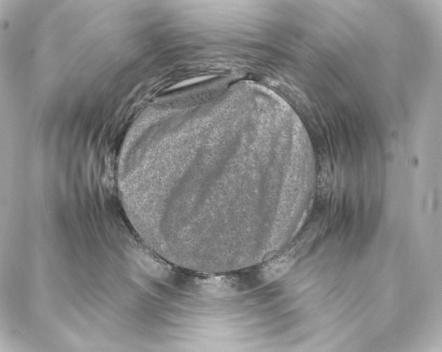 X0000086970430200705141655