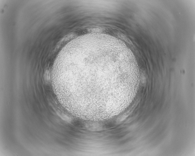 X0000086970431200705141655