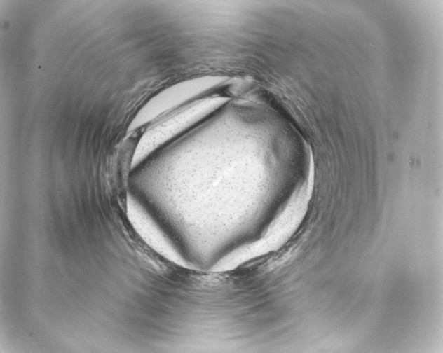 X0000086970432200705141655