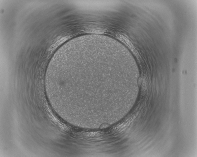 X0000086970433200705141655