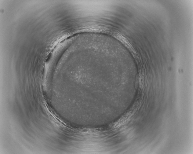 X0000086970434200705141655