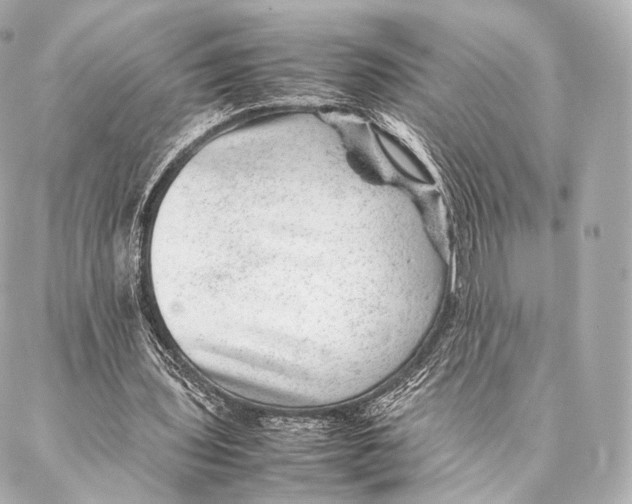 X0000086970435200705141655