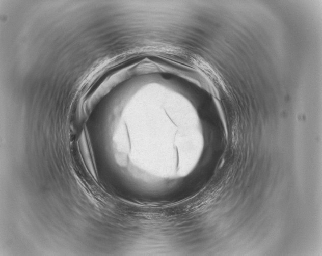 X0000086970436200705141655