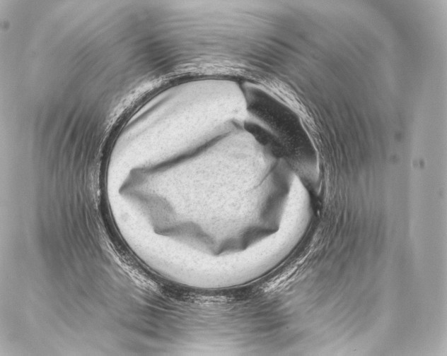 X0000086970438200705141655