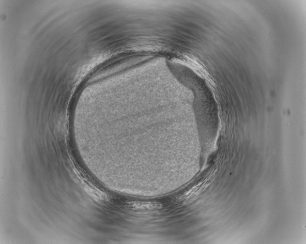 X0000086970439200705141655