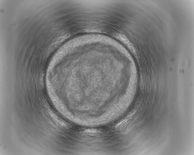 X0000086970441200705141655