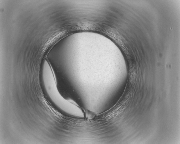 X0000086970442200705141655