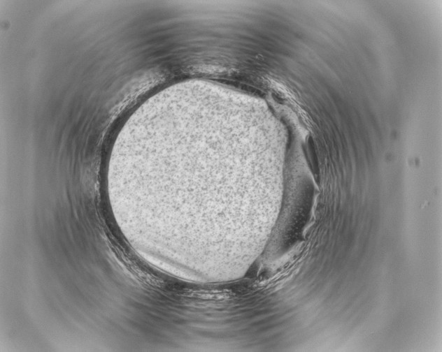 X0000086970443200705141655