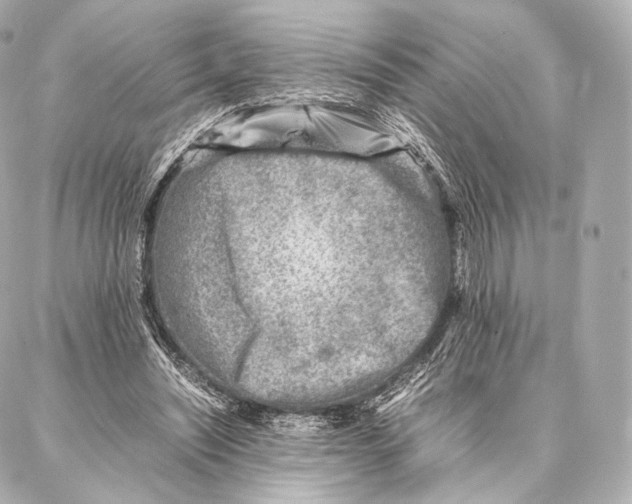 X0000086970444200705141655