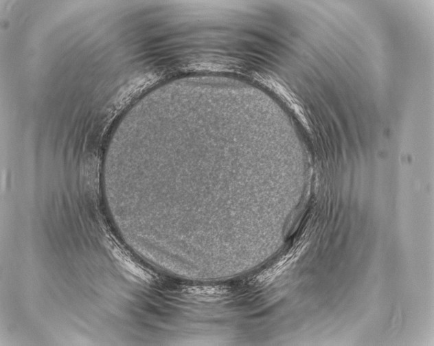 X0000086970445200705141655