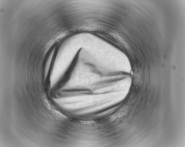 X0000086970446200705141655