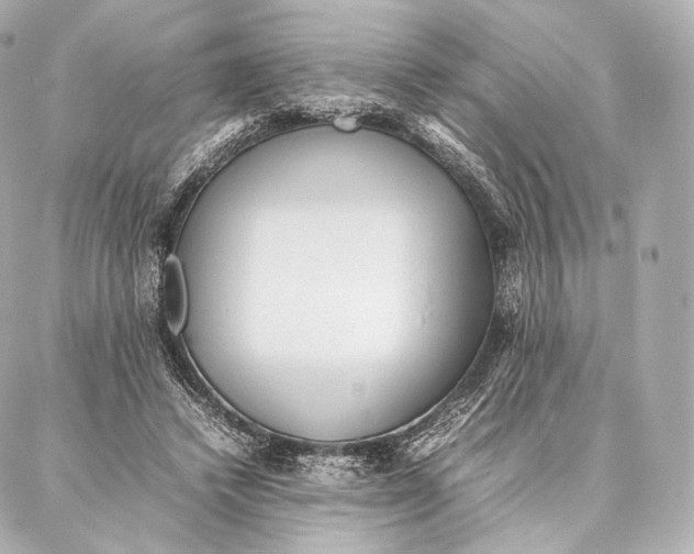 X0000086970448200705141655