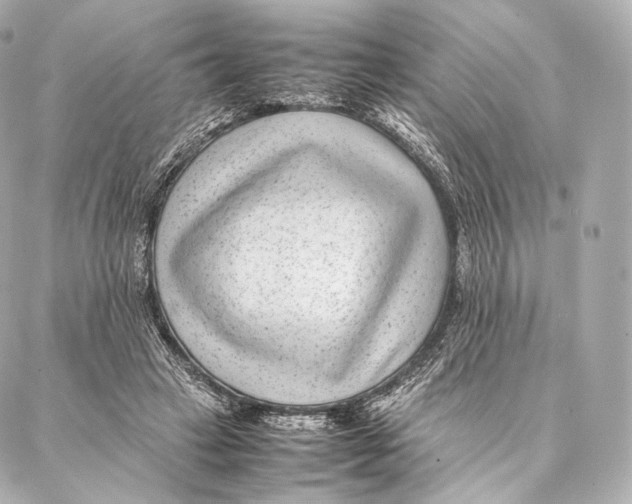 X0000086970449200705141655