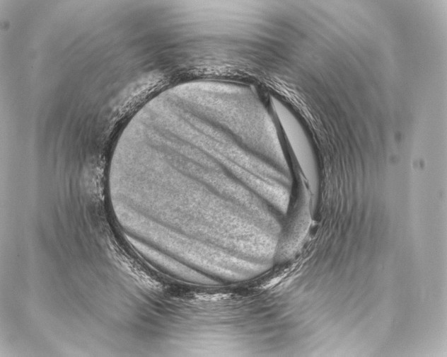 X0000086970450200705141655