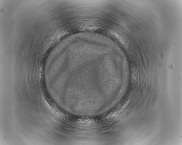 X0000086970451200705141655