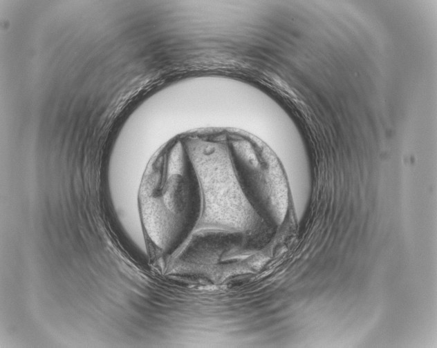 X0000086970452200705141655