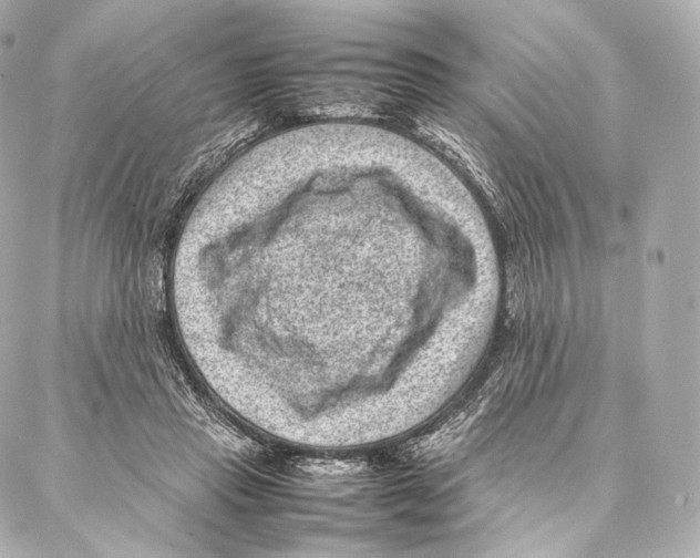 X0000086970453200705141655