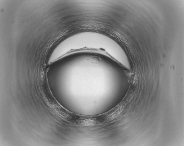 X0000086970456200705141655